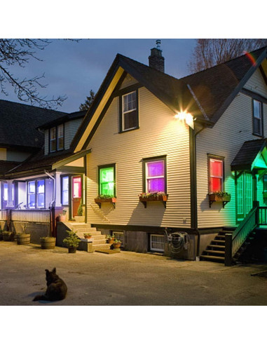 Luz LED Inundación ASIGN 50W RGB con Control Remoto