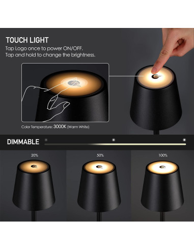 Lámpara de Pie LED O'Bright OB-FL21B Recargable Negra