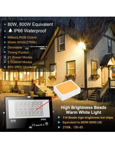 Luz de Inundación LED RGB 80W Control APP IP66 - Borui 2