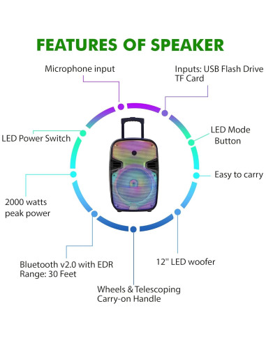 Altavoz Bluetooth 1500W Technical Pro 12" Recargable LED