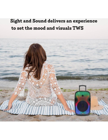 Altavoz Bluetooth 1500W Technical Pro 12" Recargable LED