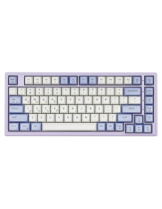 Teclado Mecánico Gaming Hexgears Purple Rain M2 TKL 83 Teclas