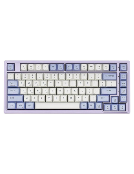 Teclado Mecánico Gaming Hexgears Purple Rain M2 TKL 83 Teclas