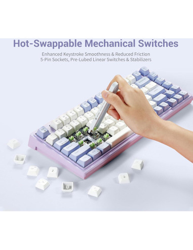 Teclado Mecánico Gaming Hexgears Purple Rain M2 TKL 83 Teclas