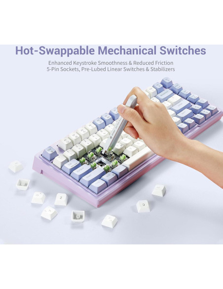 Teclado Mecánico Gaming Hexgears Purple Rain M2 TKL 83 Teclas