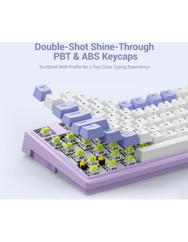 Teclado Mecánico Gaming Hexgears Purple Rain M2 TKL 83 Teclas