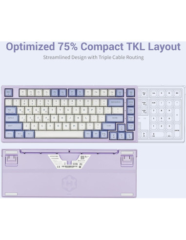 Teclado Mecánico Gaming Hexgears Purple Rain M2 TKL 83 Teclas