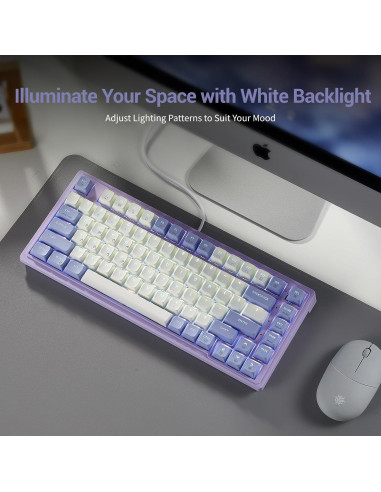 Teclado Mecánico Gaming Hexgears Purple Rain M2 TKL 83 Teclas