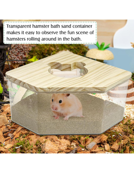 Caja de Baño de Arena para Hámster Kathson Acrílica 12.95cm