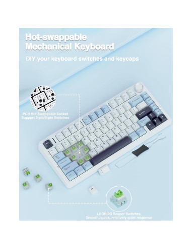 Teclado Mecánico AULA F75 Inalámbrico 75% RGB Azul