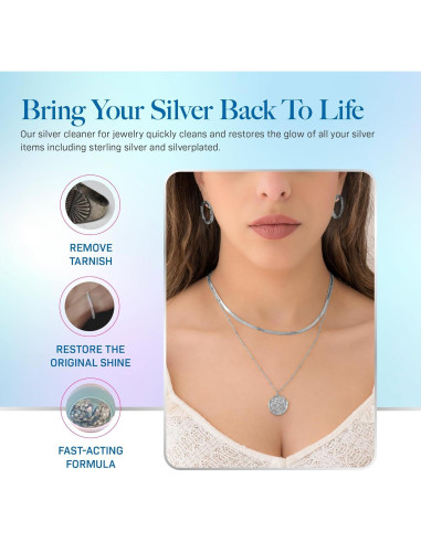 Limpiador de Plata Hagerty 207 ml con Canasta de Inmersión