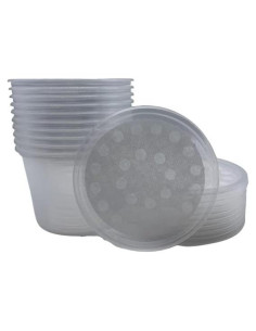 10 Tazas Deli 16 oz con Tapas Ventiladas Snout & Shell