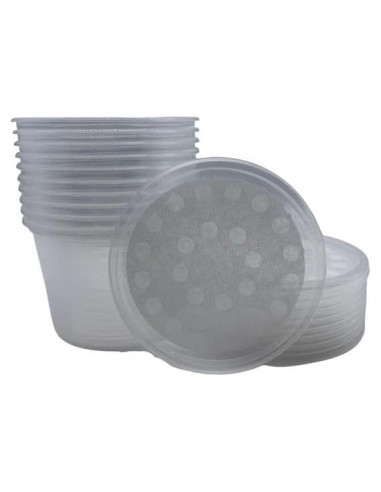 10 Tazas Deli 16 oz con Tapas Ventiladas Snout & Shell