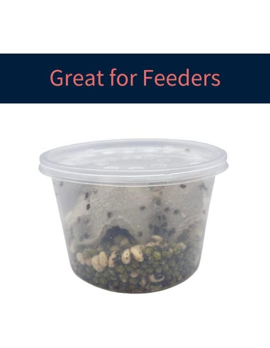 10 Tazas Deli 16 oz con Tapas Ventiladas Snout & Shell