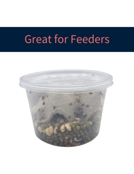 10 Tazas Deli 16 oz con Tapas Ventiladas Snout & Shell