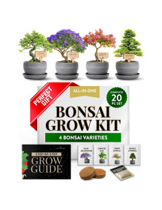 Kit Bonsai Home Grown - Cultiva 4 Especies en Casa