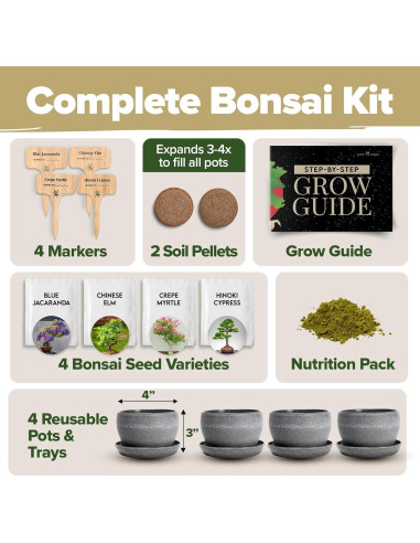 Kit Bonsai Home Grown - Cultiva 4 Especies en Casa