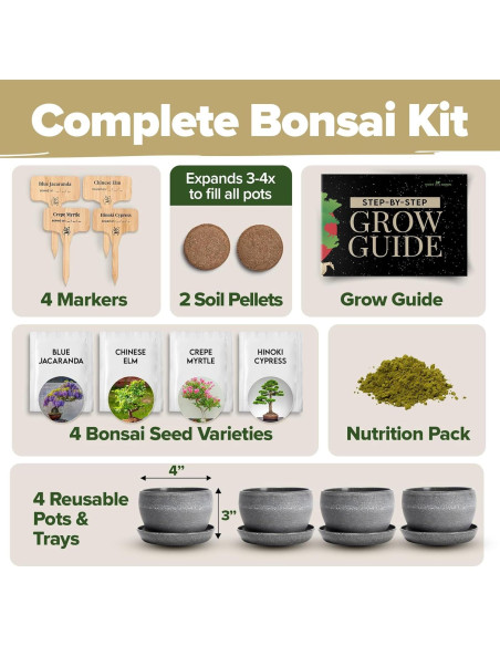 Kit Bonsai Home Grown - Cultiva 4 Especies en Casa