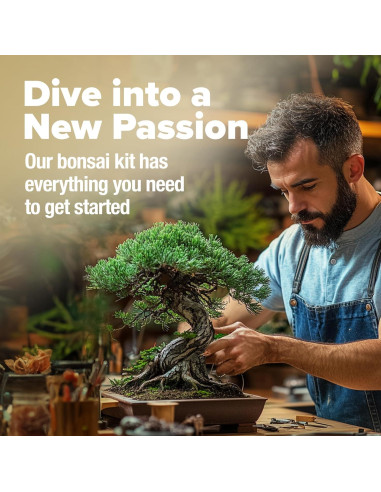 Kit Bonsai Home Grown - Cultiva 4 Especies en Casa