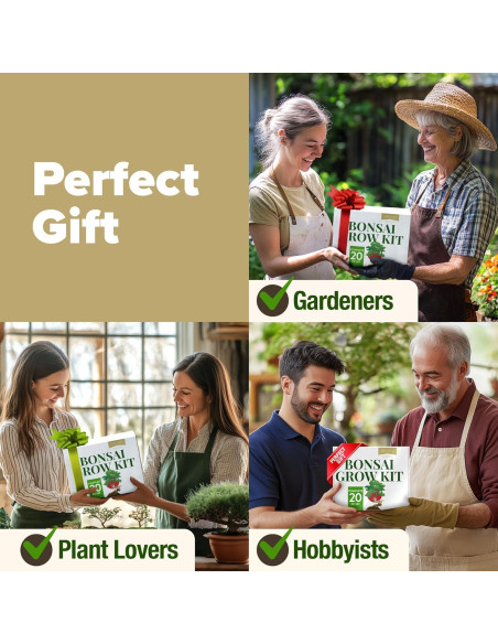 Kit Bonsai Home Grown - Cultiva 4 Especies en Casa