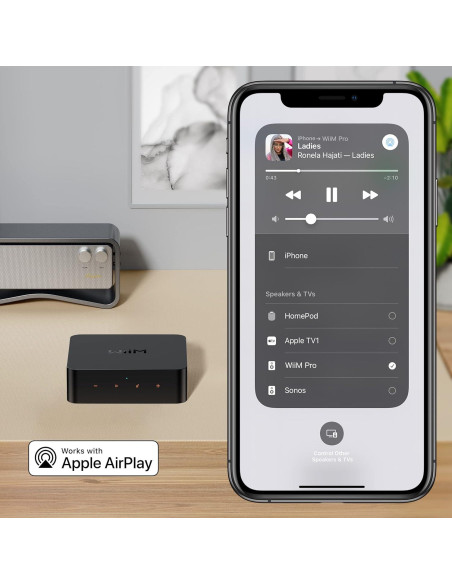 Streamer WiFi WiiM Pro Hi-Res Audio Multiroom 329g