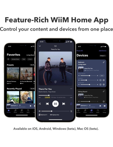 Streamer WiFi WiiM Pro Hi-Res Audio Multiroom 329g