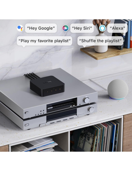 Streamer WiFi WiiM Pro Hi-Res Audio Multiroom 329g