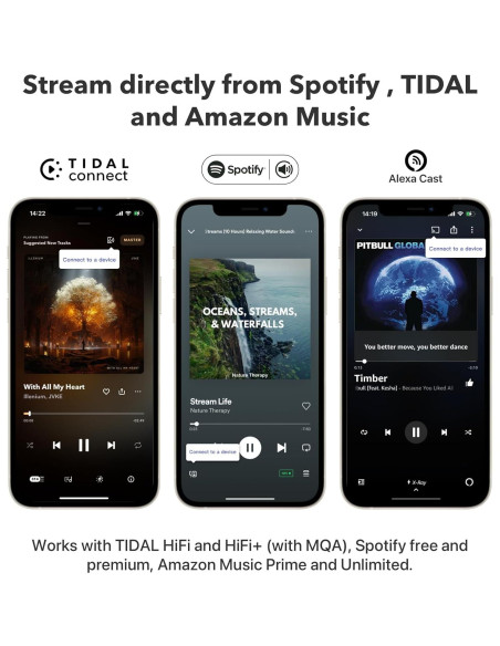 Streamer WiFi WiiM Pro Hi-Res Audio Multiroom 329g