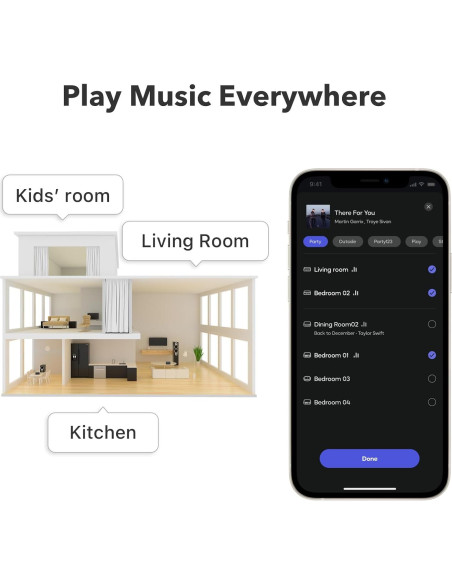 Streamer WiFi WiiM Pro Hi-Res Audio Multiroom 329g
