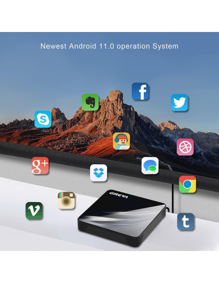 GREVA Android TV Box 11.0 4K 2GB RAM 16GB ROM WiFi Dual