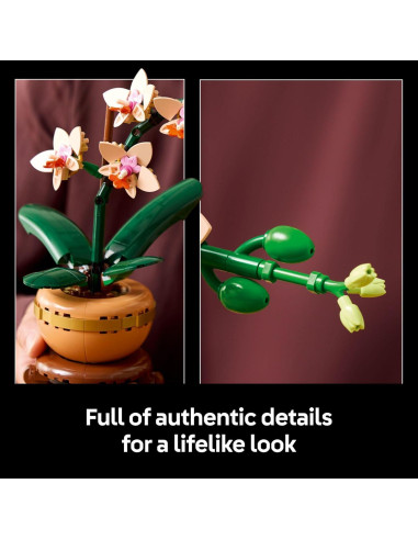 LEGO Botanicals Mini Orquídea 10343 - Decoración para Hogar