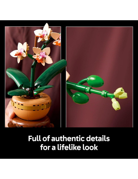 LEGO Botanicals Mini Orquídea 10343 - Decoración para Hogar