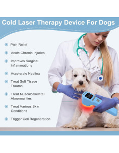 Terapia con Láser Frío Kdvioo para Mascotas 808nm 650nm 2