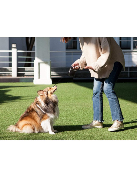 Correa Retráctil Fida para Perros 4.88m Grande Café