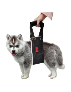 Arnés de elevación para perros pequeños Cover Geny S