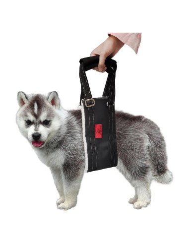Arnés de elevación para perros pequeños Cover Geny S