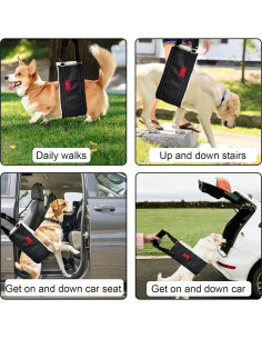 Arnés de elevación para perros pequeños Cover Geny S 2