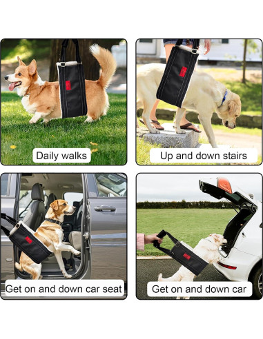 Arnés de elevación para perros pequeños Cover Geny S