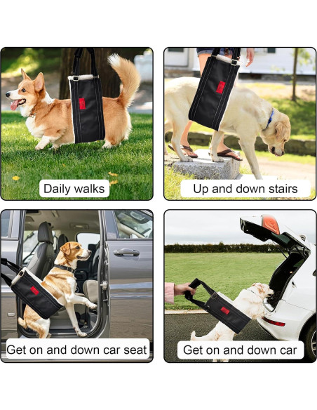 Arnés de elevación para perros pequeños Cover Geny S Arnés de elevación para perros pequeños Cover Geny S