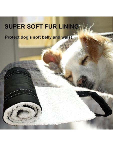 Arnés de elevación para perros pequeños Cover Geny S Arnés de elevación para perros pequeños Cover Geny S