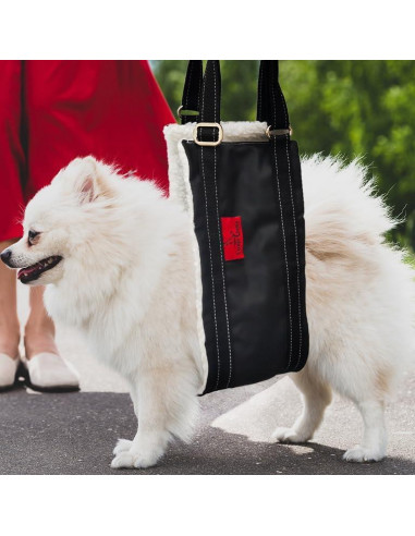 Arnés de elevación para perros pequeños Cover Geny S