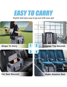 Transportadora Expandible para Mascotas SweetBin Grande 2