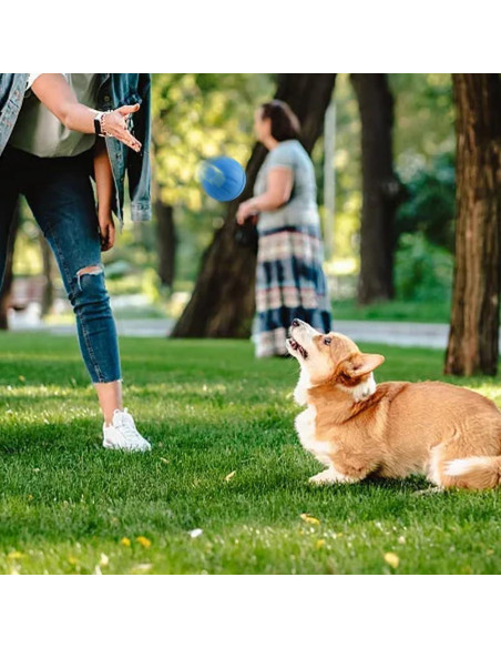 Pelota Interactiva para Perros Genérica - Vibrante y LED