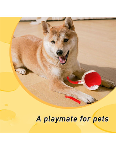 Bola Interactiva para Perros GLOSYA WJ-PJQ 360 Rojo