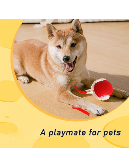 Bola Interactiva para Perros GLOSYA WJ-PJQ 360 Rojo