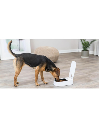 Dispensador Automático de Comida TRIXIE TX1, 283 g, Blanco