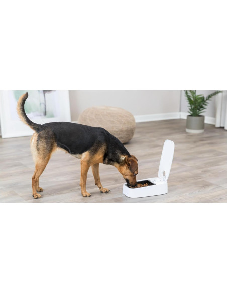 Dispensador Automático de Comida TRIXIE TX1, 283 g, Blanco