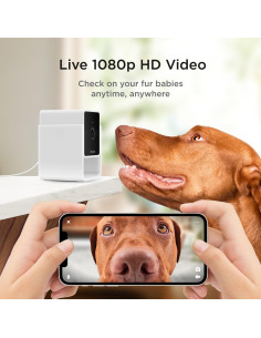 Petcube Cam Paquete de 2 | Cámara Seguridad Mascotas HD 1080p 2