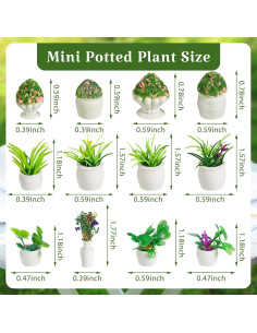Mini Plantas en Maceta Chuangdi 12 Piezas Decoración 2