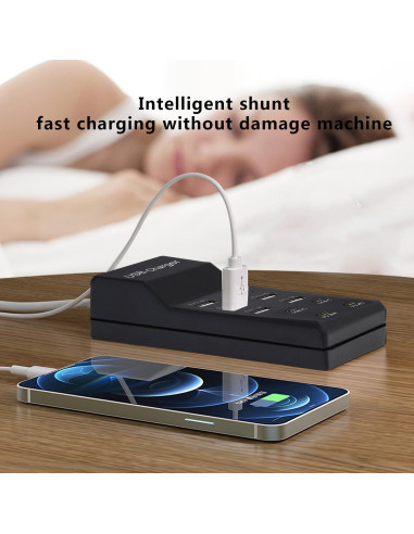 Cargador USB 50W Dongguan 10 Puertos Inteligentes Negro